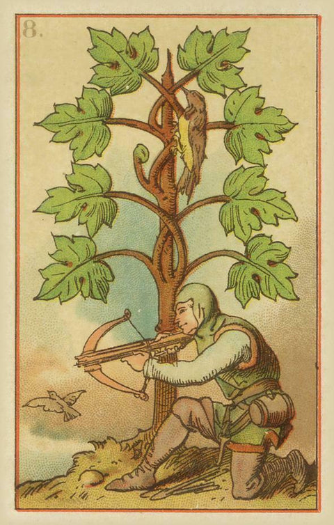 Medieval Fortune Telling Cards Lo Scarabeo Old Cartomancy Playing Cards NEW