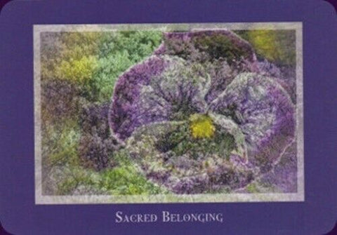 Gaia'S Vision Oracle Cards Deck Original Schiffer Publishing By Susan Starr NEW