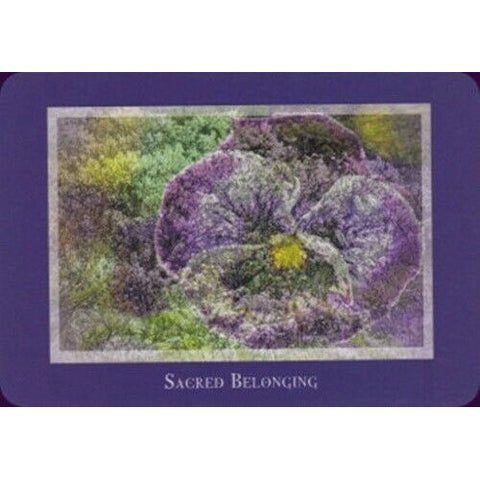 Gaia's Vision Oracle Deck 40 Cards with Guidebook Nature Photography Oracle