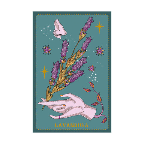 Herbarium Oracle Cards Lo Scarabeo