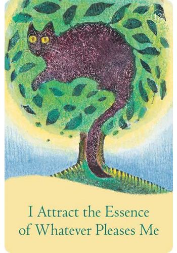 The Law Of Attraction Cards Deck Hay House Teachings Of Abraham By Hicks NEW