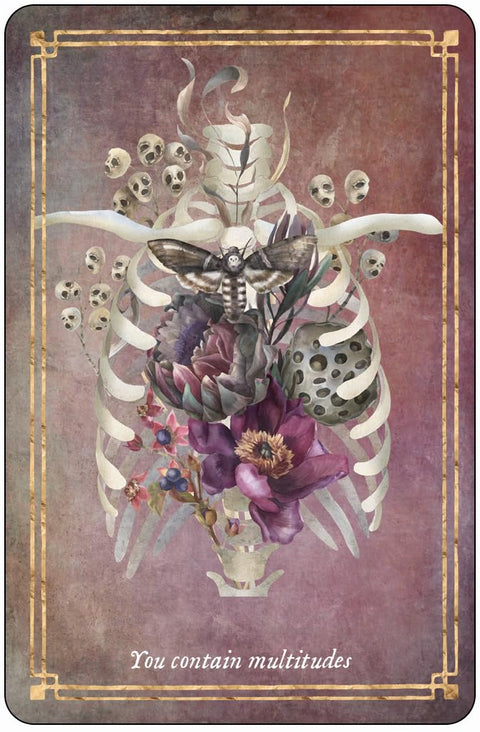Memento Mori Oracle Deck 36 Daily Affirmation Cards by Red Wheel