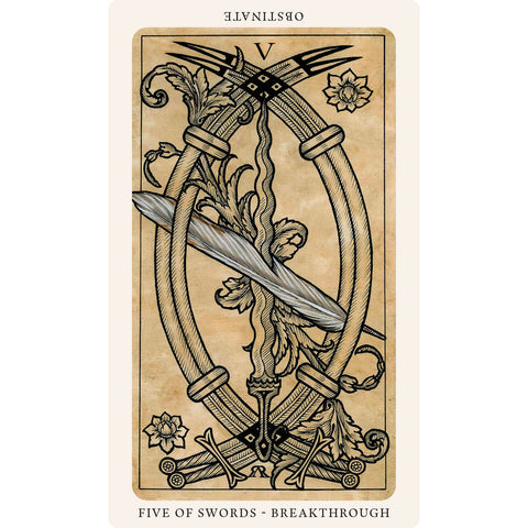 The Medieval Feathers Tarot Cards Deck Alejandro R. Rozan Blue Angel Tmft23