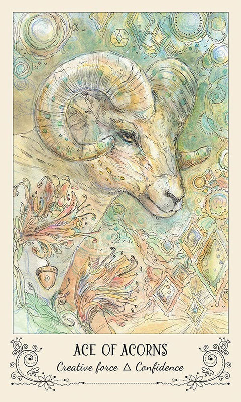 Spiritsong Tarot Card Deck by Paulina Cassidy 78 Cards US Games