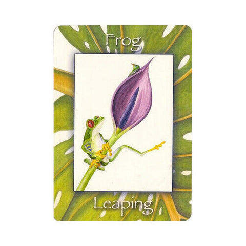 Nature'S Wisdom Oracle Deck Mindy Lighthipe Schiffer Publishing Sp022