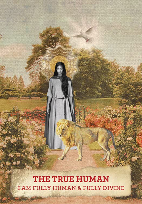 The Mary Magdalene Oracle Card Deck And Guidebook Hay House Meggan Watterson NEW