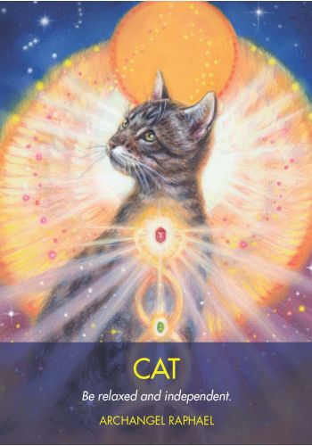 Hay House Archangel Animal Oracle - Angel & Animal Guidance Cards Set