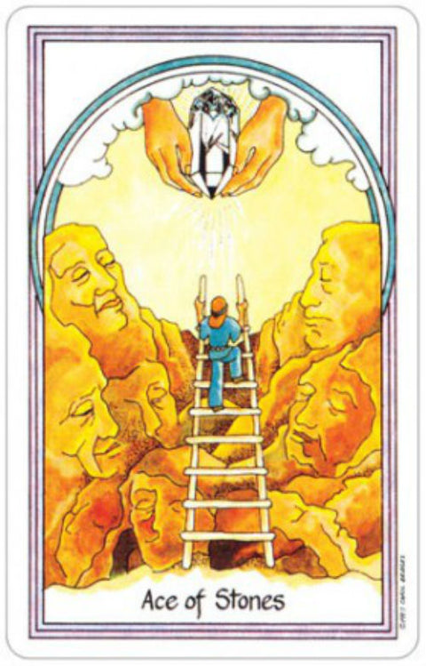Medicine Woman Tarot Card Deck 78 Cards by US Games New Sealed