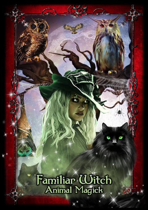 Solarus Witches of the Craft Oracle Cards 48-Card Deck with English Guidebook