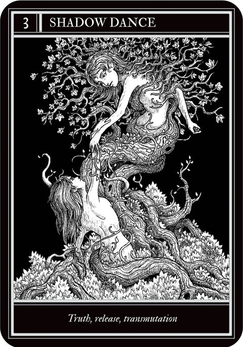 Coven Oracle Cards Deck by Rockpool Publishing 36-Card Set with Guidebook