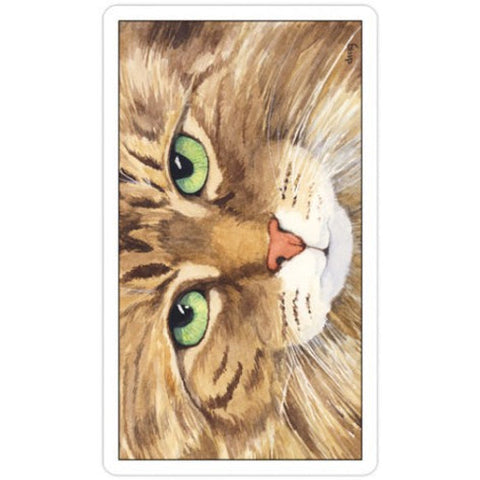 Cat's Eye Tarot Card Deck by US Games, 78 Cards with Guidebook