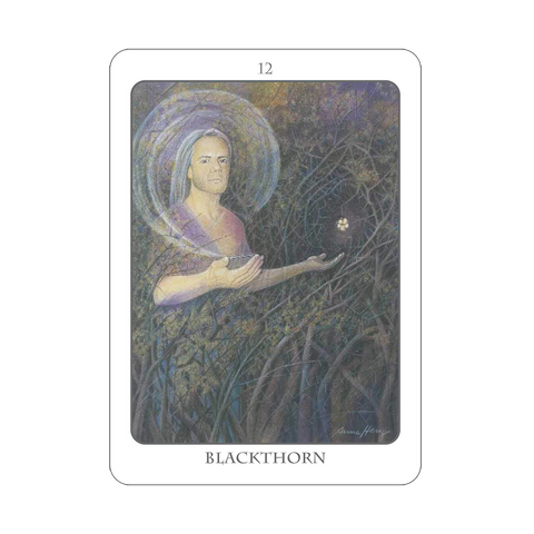 The Tree Angel Oracle Deck And Book Divination Earth Dancer Fred Hageneder NEW