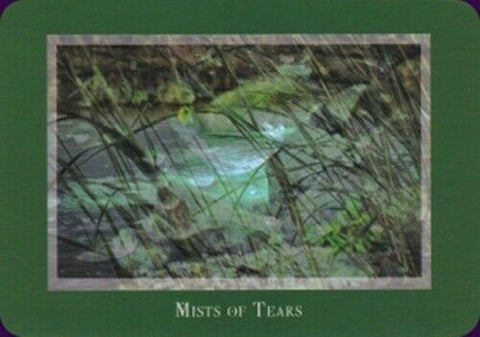 Gaia'S Vision Oracle Cards Deck Original Schiffer Publishing By Susan Starr NEW