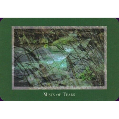 Gaia's Vision Oracle Deck 40 Cards with Guidebook Nature Photography Oracle