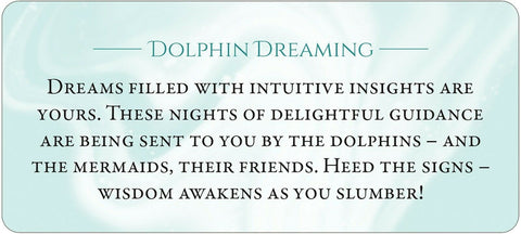 Magickal Messages From The Mermaid Inspiration Cards Deck Blue Angel NEW