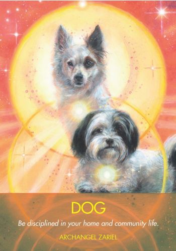 Hay House Archangel Animal Oracle - Angel & Animal Guidance Cards Set