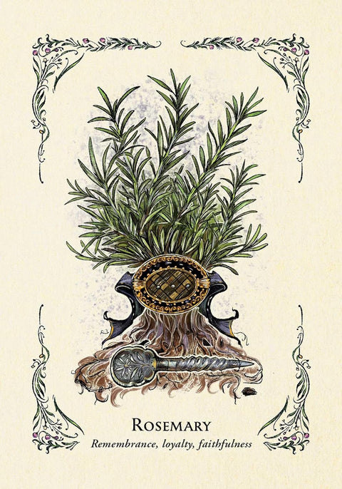 The Green Witch's Oracle Cards Deck by Arin Murphy-Hiscock Adams Media
