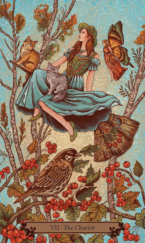 Hedgewitch Tarot Deck by Llewellyn 78 Cards & Guidebook for Divination