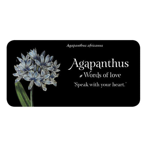 Language of Flowers Oracle Inspiration Cards Deck Cheralyn Darcey New
