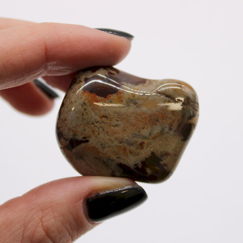 Large African Tumble Stones (6X) - Jasper Nguni - Brecciated Ancient Wisdom NEW