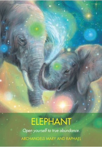 Hay House Archangel Animal Oracle - Angel & Animal Guidance Cards Set