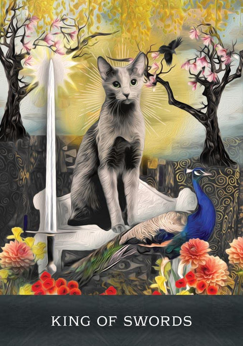 Grimalkin'S Curious Cats Tarot Cards Deck & Guidebook