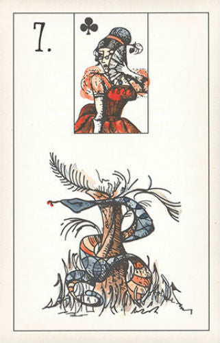 Maybe Lenormand Oracle Deck by Ryan Edward 52 Cards US Games Divination