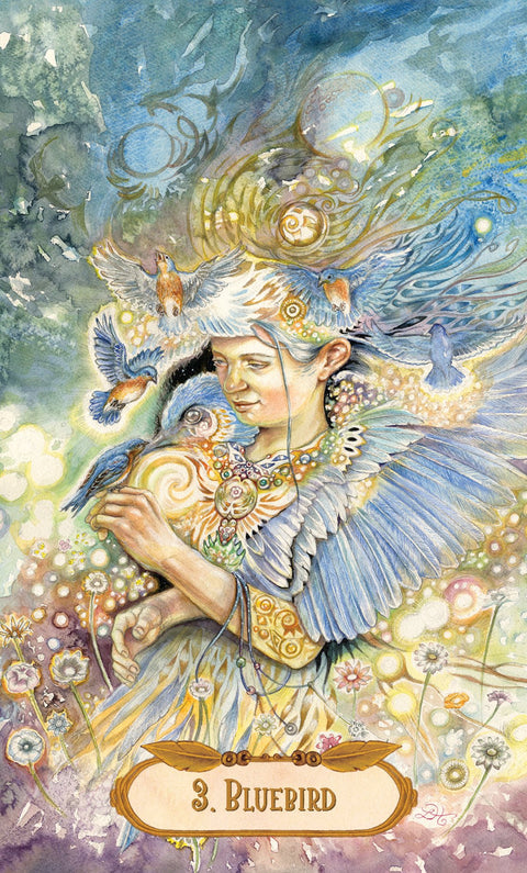 The Winged Enchantment Oracle Cards Deck Esoteric Telling US Games Systems NEW