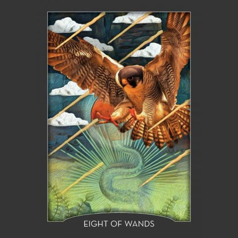 Guardian of the Night Tarot Deck & Signed Guidebook – Animal Spirit Cards
