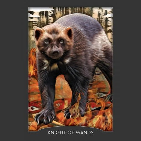 Guardian of the Night Tarot Deck & Signed Guidebook – Animal Spirit Cards