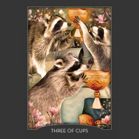 Guardian of the Night Tarot Deck & Signed Guidebook – Animal Spirit Cards