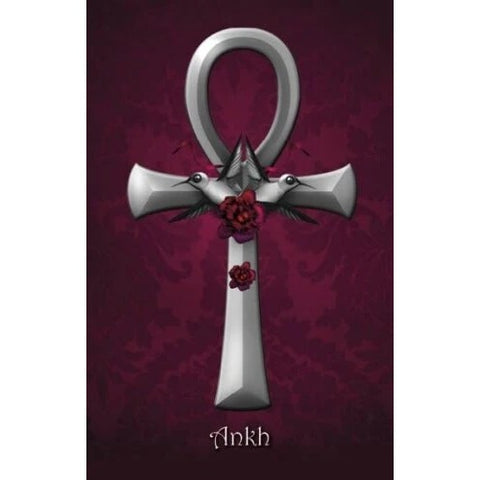 The Witch's Oracle 2nd Edition 45-Card Deck & Guidebook by Schiffer