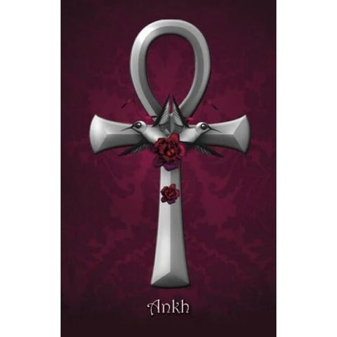 The Witch's Oracle 2nd Edition 45-Card Deck & Guidebook by Schiffer