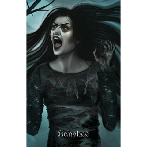 The Witch's Oracle 2nd Edition 45-Card Deck & Guidebook by Schiffer
