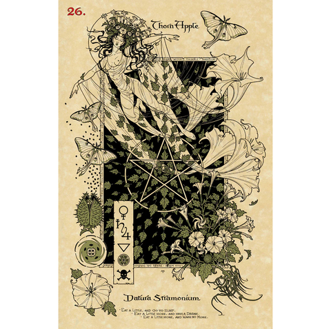 The Magickal Botanical Oracle Cards Deck Lo Scarabeo By Miller & Penzack NEW