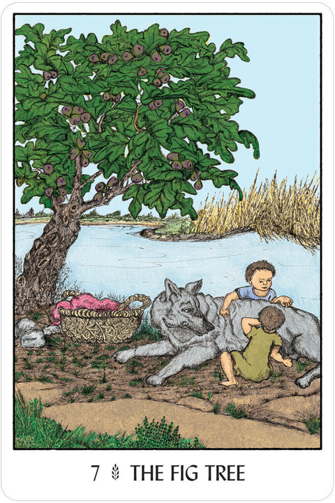 Oracle Of The Trees Cards Deck US Games Systems Esoteric Francesca Valente Oot32