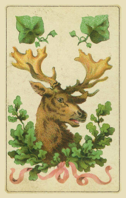 Folk Cards of Destiny Fortune Telling Deck Lo Scarabeo Cartomancy