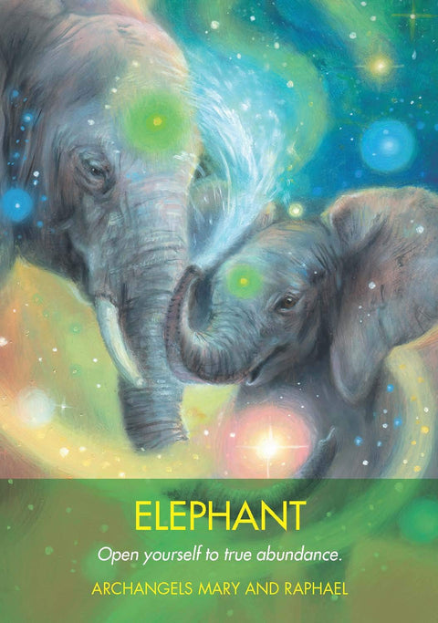 Hay House Archangel Animal Oracle - Angel & Animal Guidance Cards Set