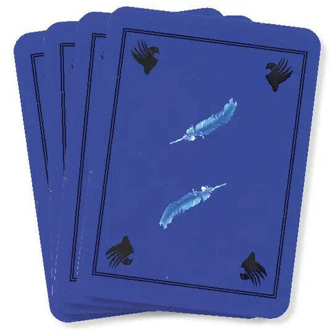 Feathered Omens Messenger Birds Spirit World Oracle Cards & Book Set