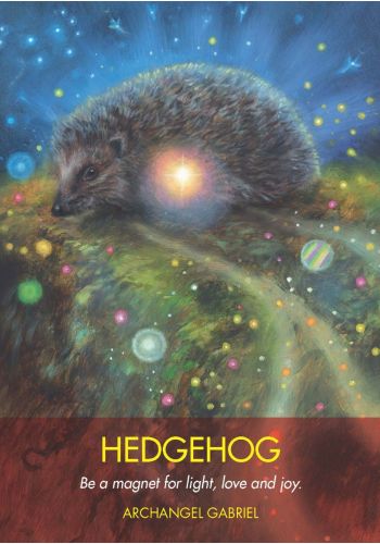 Hay House Archangel Animal Oracle - Angel & Animal Guidance Cards Set