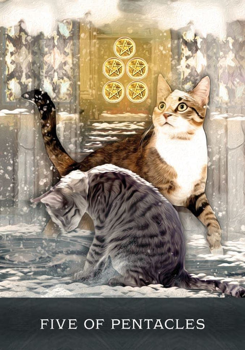 Grimalkin'S Curious Cats Tarot Cards Deck & Guidebook