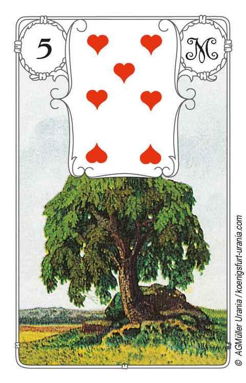 Blue Owl By Mlle Lenormand 36 Cards Deck Esoteric Fortune Telling Agm 1067012979