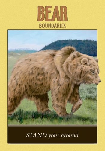 Power Animal Oracle Cards Deck And Guidebook Hay House By Steven D. Farmer NEW