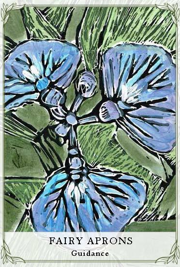 Australian Wildflower Reading Cards Deck Rockpool Cheralyn Darcey Guidebook NEW