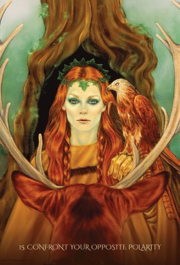 Through The Eyes Of The Soul Oracle Cards Deck Blue Angel Esoteric Rose NEW