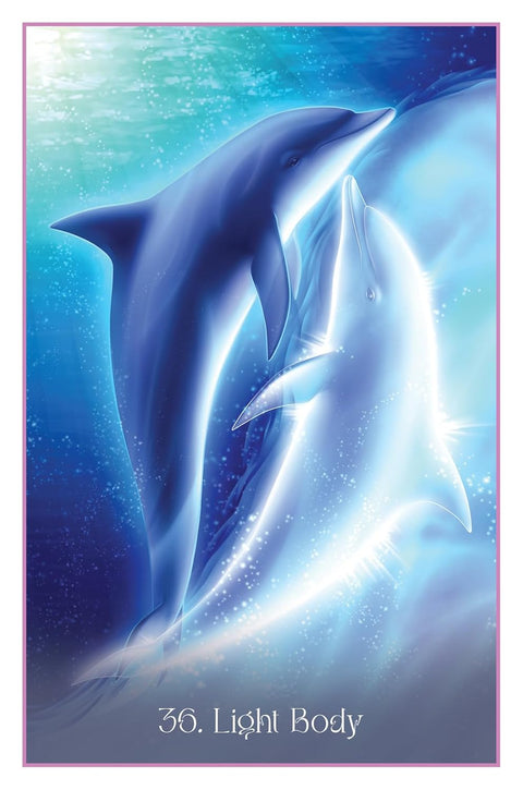 Whispers of the Dolphin Heart cards Blue Angel
