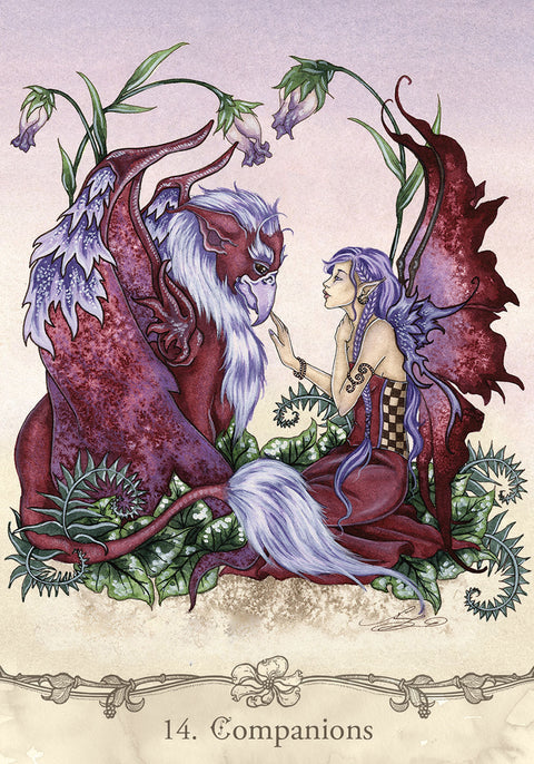 Fairy Wisdom Oracle Card Deck & Guide Book Set by Amy Brown US Games