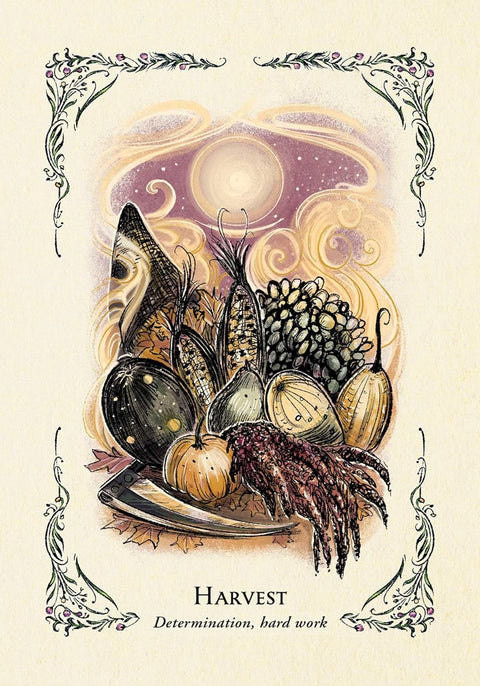 The Green Witch's Oracle Cards Deck by Arin Murphy-Hiscock Adams Media