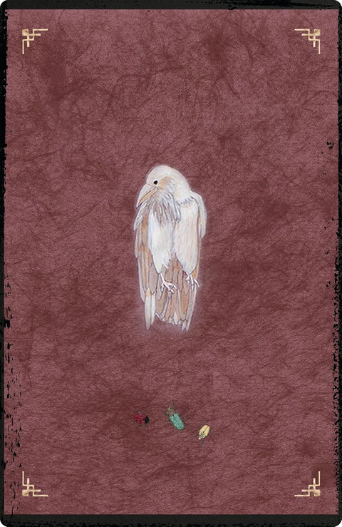 Oracle of Rewilding Animal Archetype Divination Cards Deck & Guide