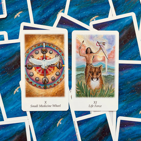 Vision Quest Tarot Cards Deck By Gayan Sylvie Winter Esoteric Agm 1067012591